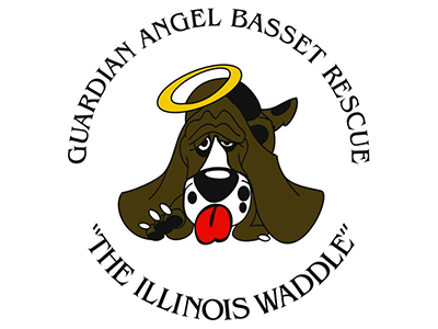 Guardian Angel Bassett Rescue